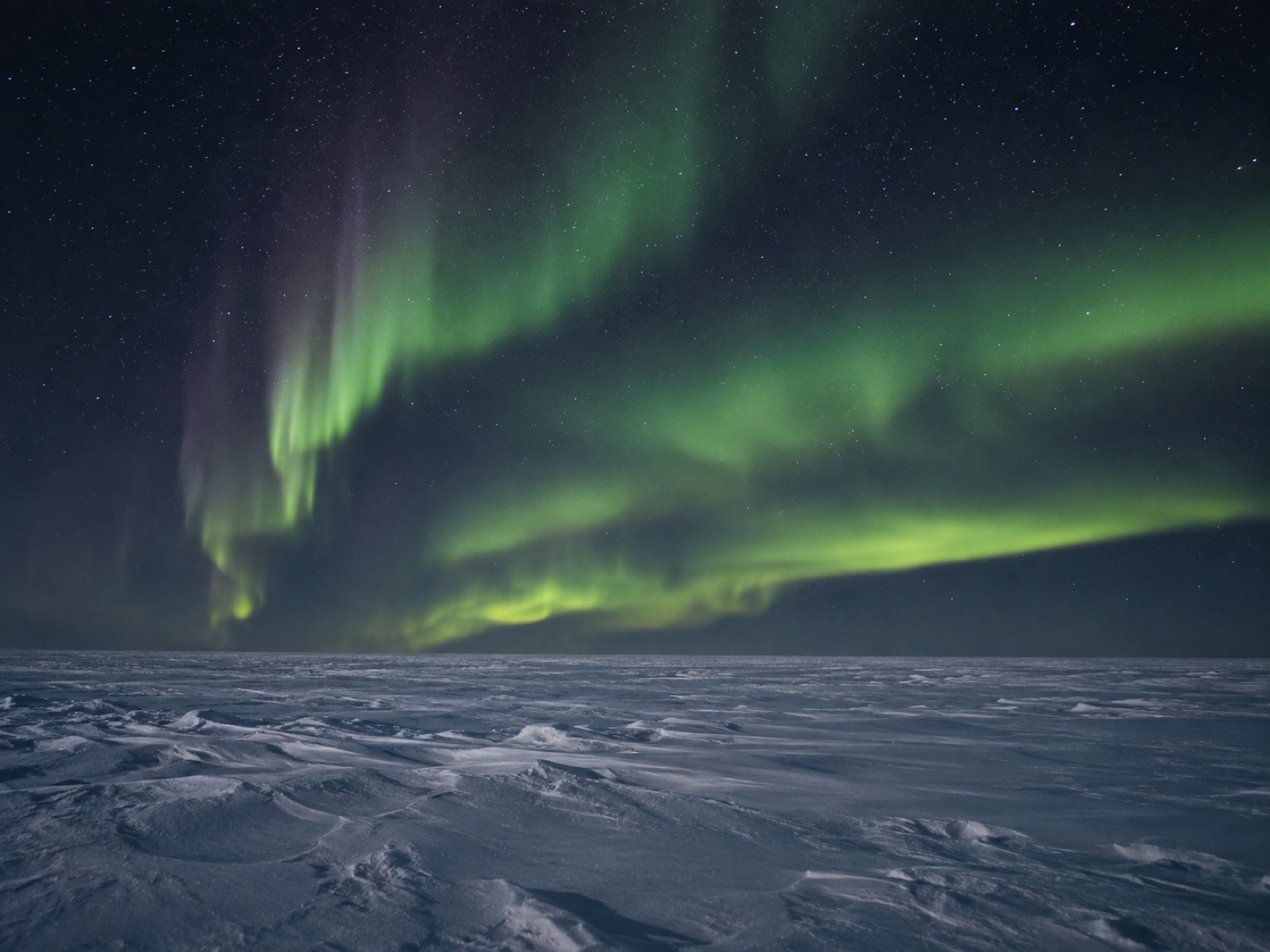 Aurora borealis over open subarctic tundra near Churchill, Manitoba