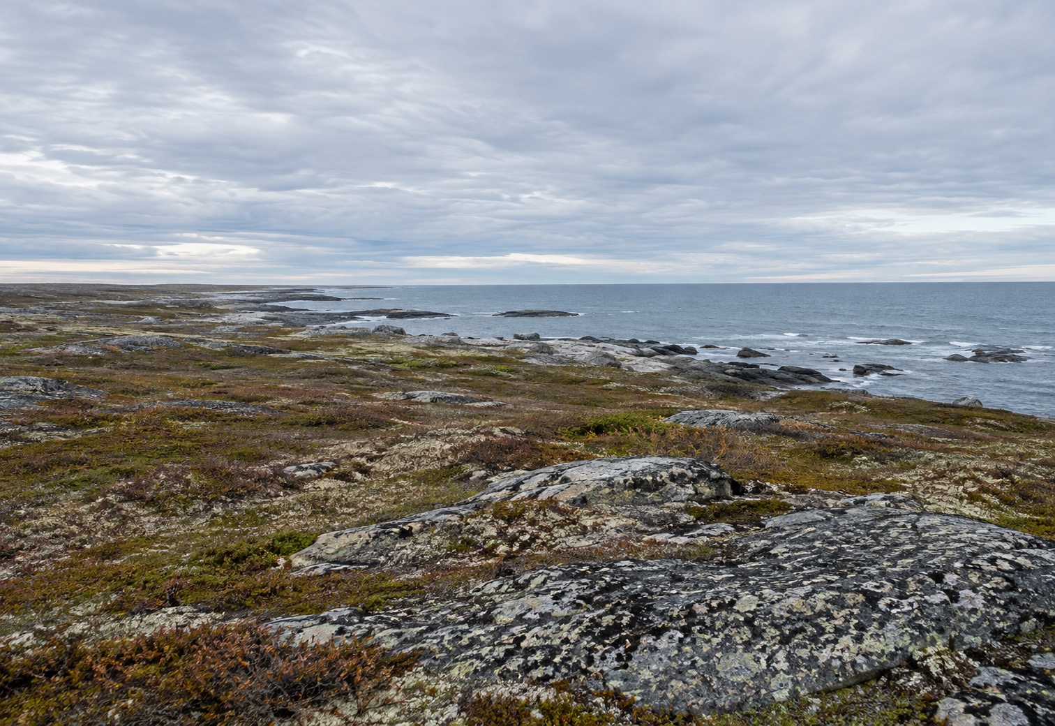 Open subarctic tundra meeting Hudson Bay near Churchill, Manitoba