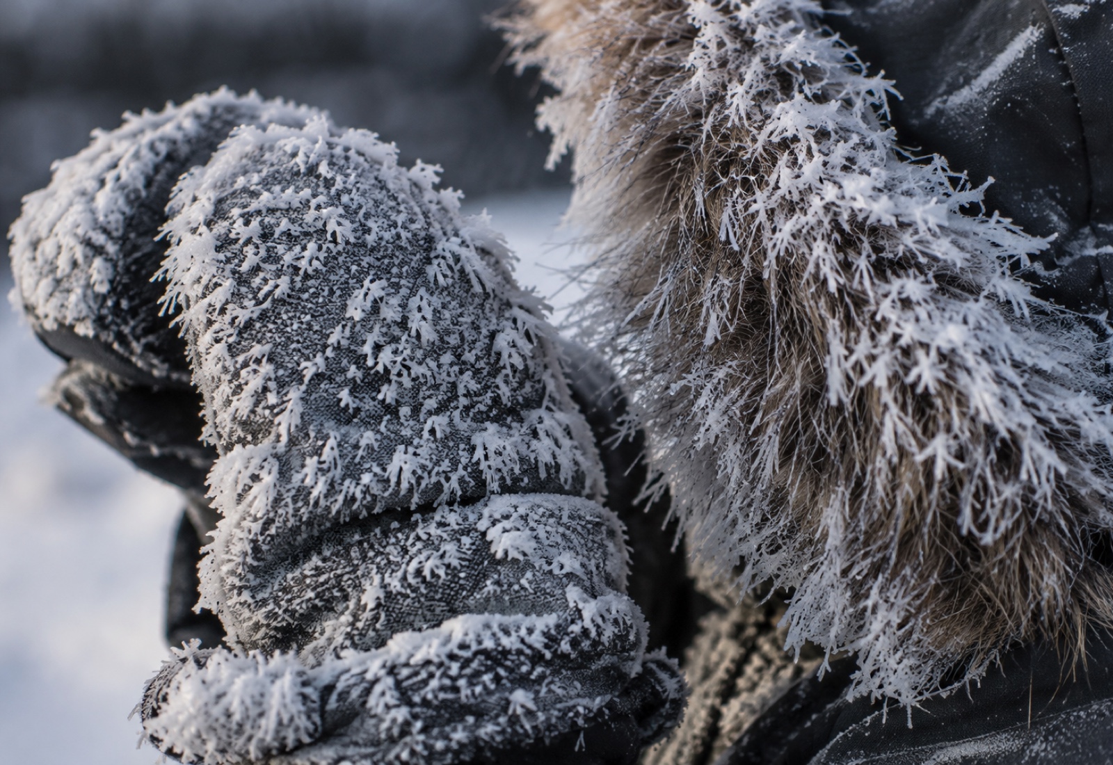 Heavy frost built up on winter mitts and a parka hood in extreme sub-arctic cold